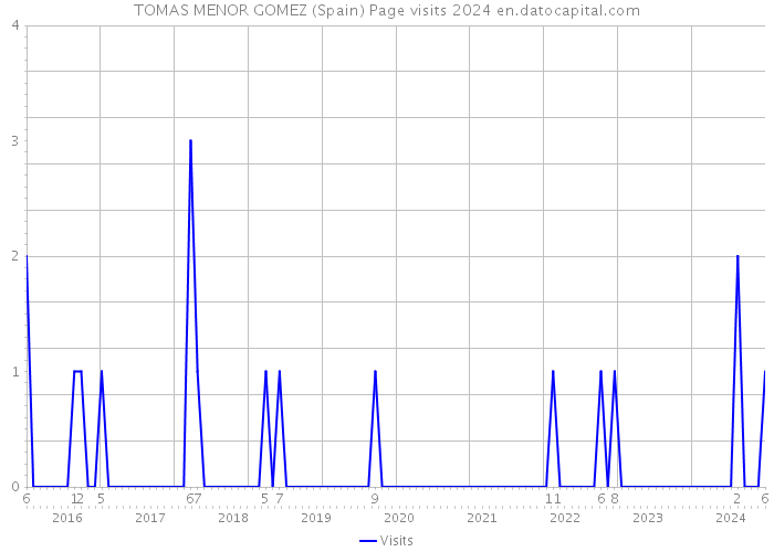 TOMAS MENOR GOMEZ (Spain) Page visits 2024 