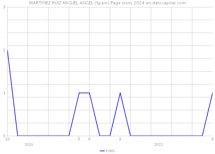 MARTINEZ RUIZ MIGUEL ANGEL (Spain) Page visits 2024 