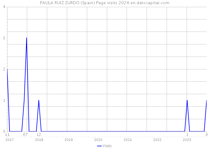 PAULA RUIZ ZURDO (Spain) Page visits 2024 