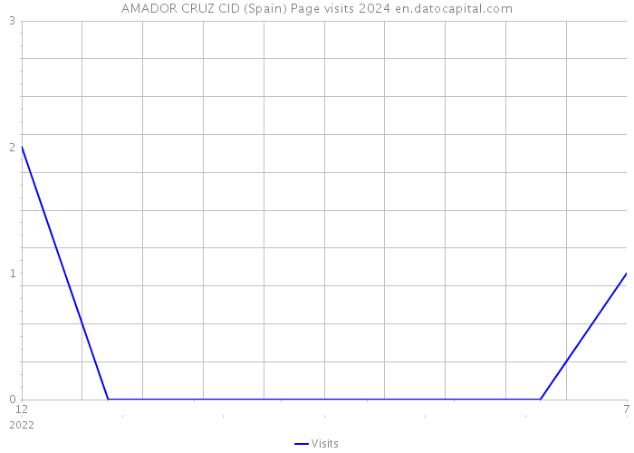 AMADOR CRUZ CID (Spain) Page visits 2024 