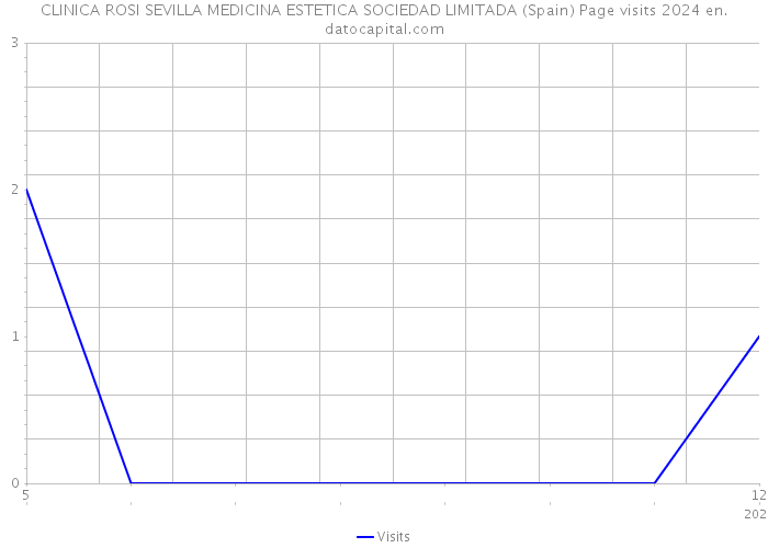 CLINICA ROSI SEVILLA MEDICINA ESTETICA SOCIEDAD LIMITADA (Spain) Page visits 2024 