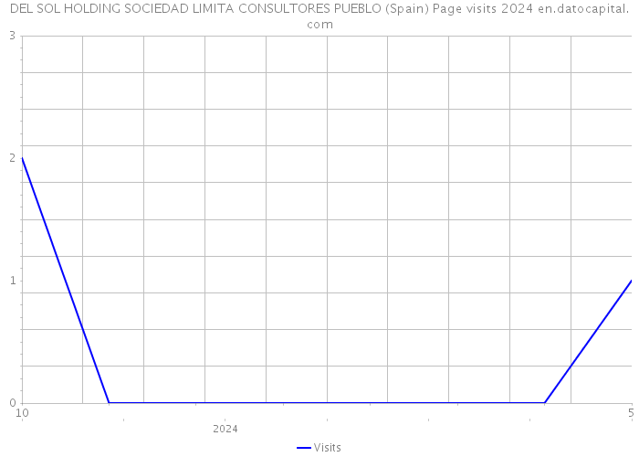 DEL SOL HOLDING SOCIEDAD LIMITA CONSULTORES PUEBLO (Spain) Page visits 2024 
