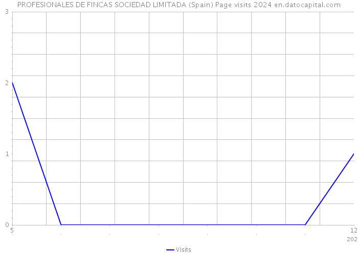PROFESIONALES DE FINCAS SOCIEDAD LIMITADA (Spain) Page visits 2024 