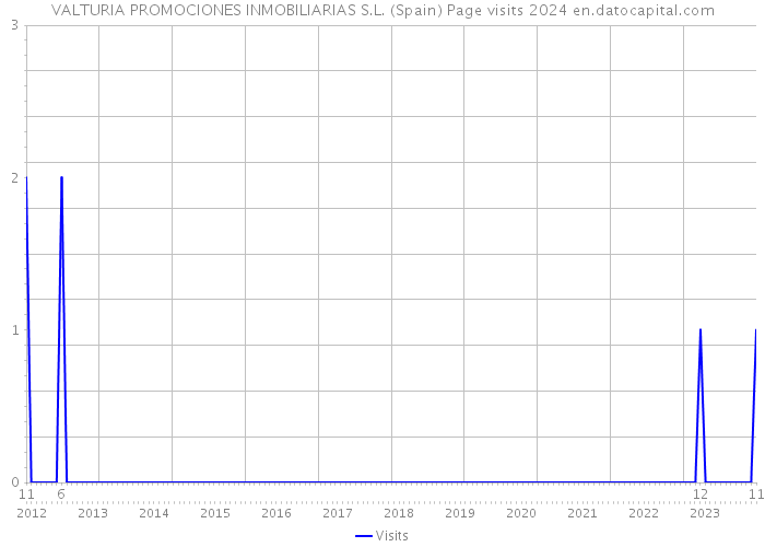 VALTURIA PROMOCIONES INMOBILIARIAS S.L. (Spain) Page visits 2024 