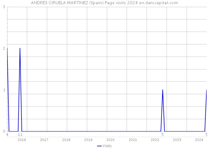 ANDRES CIRUELA MARTINEZ (Spain) Page visits 2024 