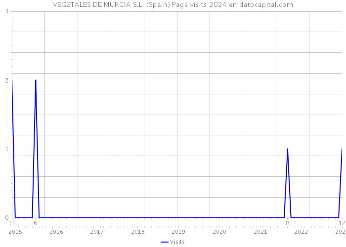 VEGETALES DE MURCIA S.L. (Spain) Page visits 2024 