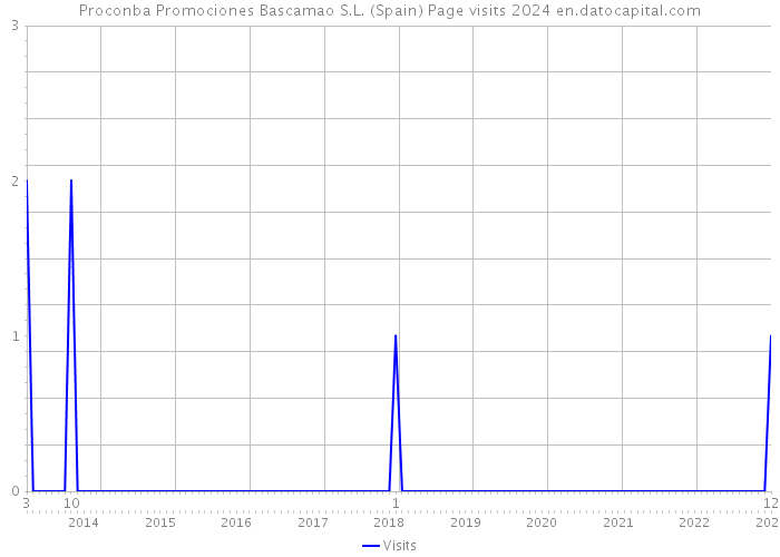 Proconba Promociones Bascamao S.L. (Spain) Page visits 2024 