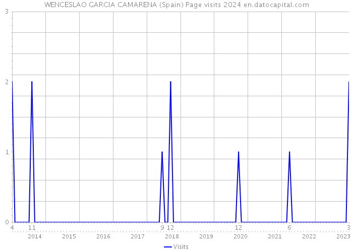 WENCESLAO GARCIA CAMARENA (Spain) Page visits 2024 