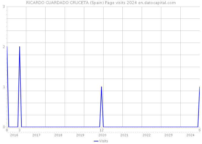 RICARDO GUARDADO CRUCETA (Spain) Page visits 2024 