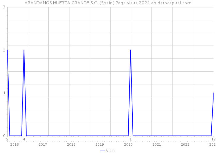 ARANDANOS HUERTA GRANDE S.C. (Spain) Page visits 2024 