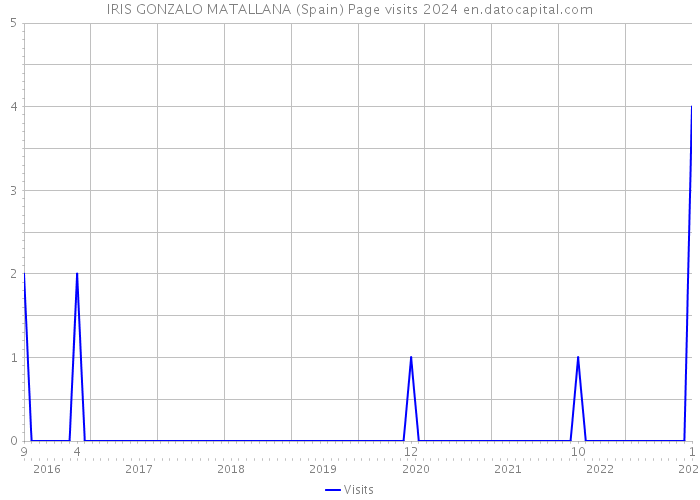IRIS GONZALO MATALLANA (Spain) Page visits 2024 