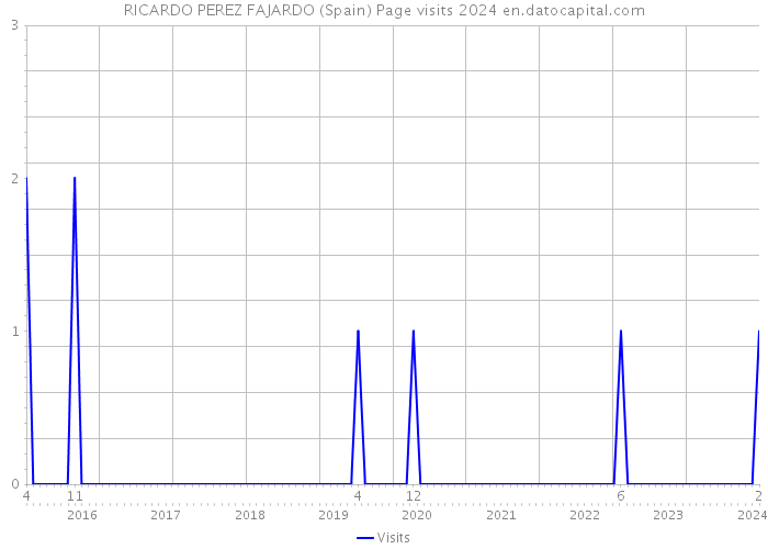 RICARDO PEREZ FAJARDO (Spain) Page visits 2024 