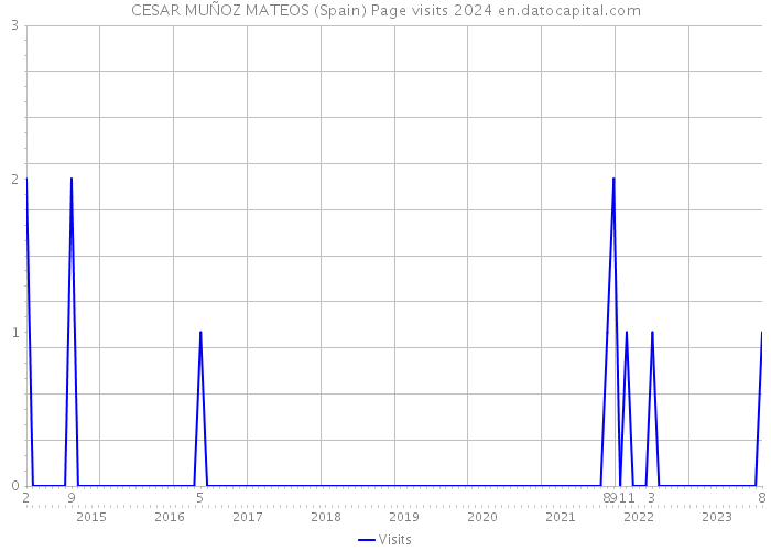 CESAR MUÑOZ MATEOS (Spain) Page visits 2024 