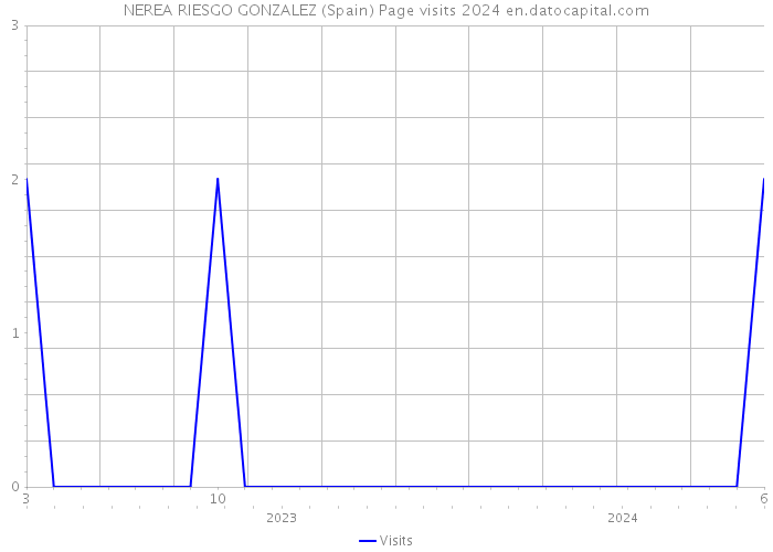 NEREA RIESGO GONZALEZ (Spain) Page visits 2024 