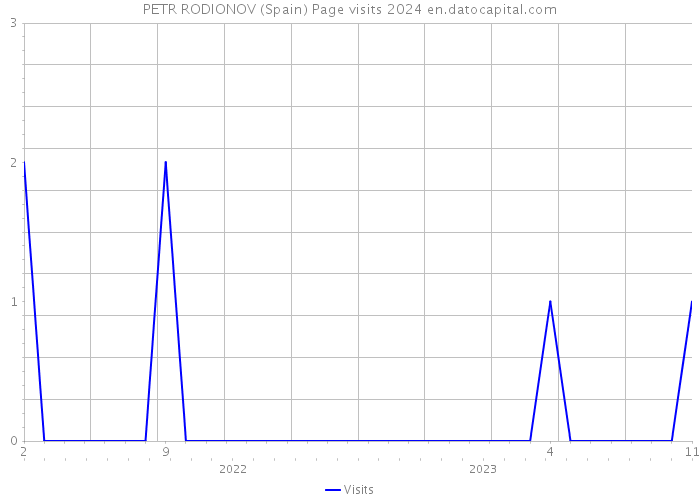 PETR RODIONOV (Spain) Page visits 2024 