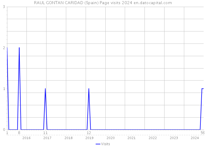 RAUL GONTAN CARIDAD (Spain) Page visits 2024 