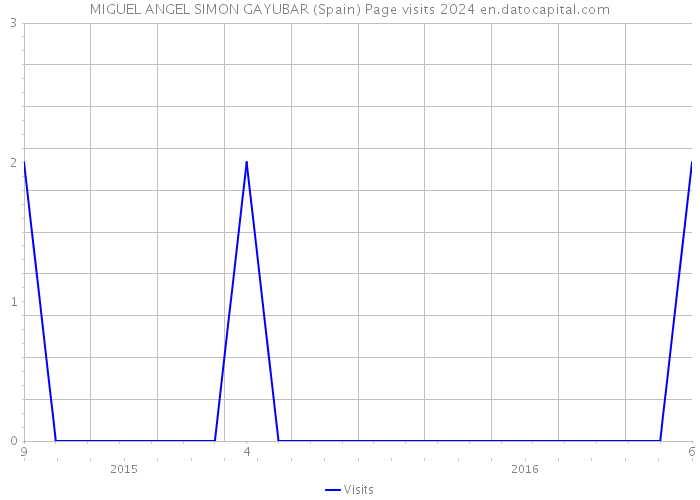 MIGUEL ANGEL SIMON GAYUBAR (Spain) Page visits 2024 
