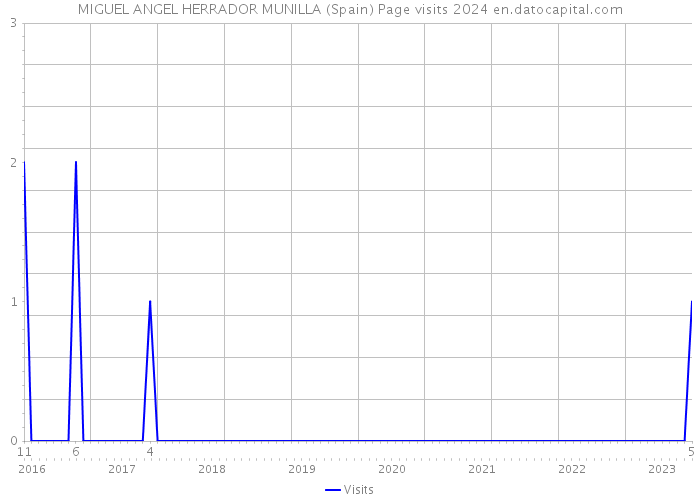 MIGUEL ANGEL HERRADOR MUNILLA (Spain) Page visits 2024 
