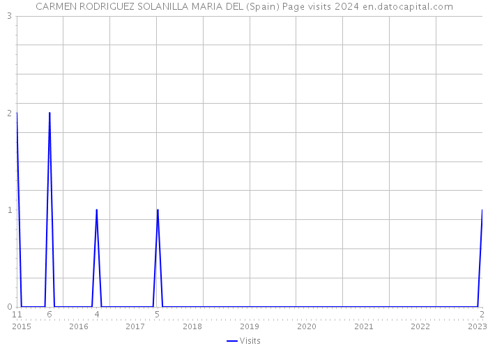 CARMEN RODRIGUEZ SOLANILLA MARIA DEL (Spain) Page visits 2024 