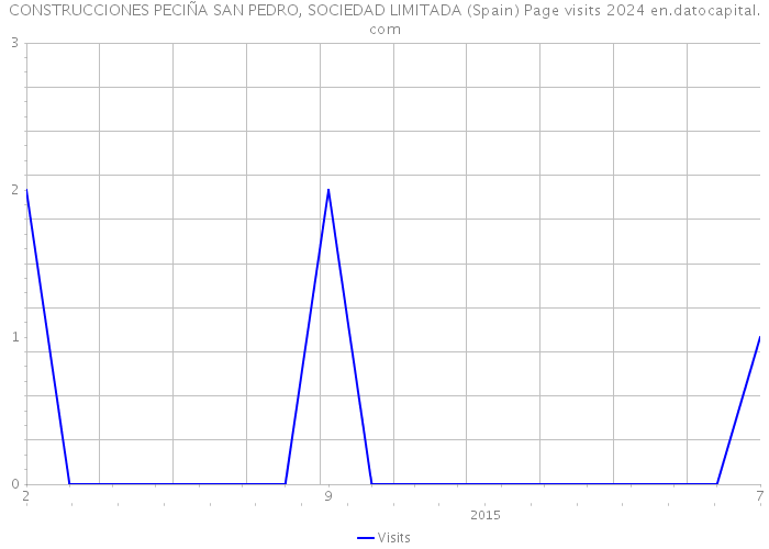 CONSTRUCCIONES PECIÑA SAN PEDRO, SOCIEDAD LIMITADA (Spain) Page visits 2024 