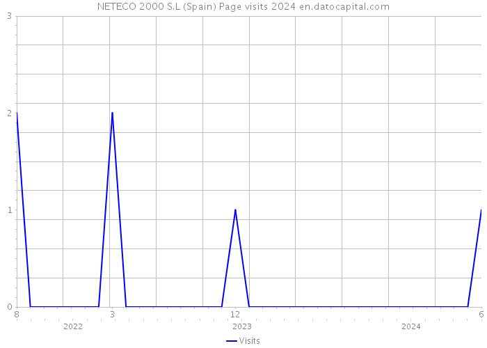 NETECO 2000 S.L (Spain) Page visits 2024 