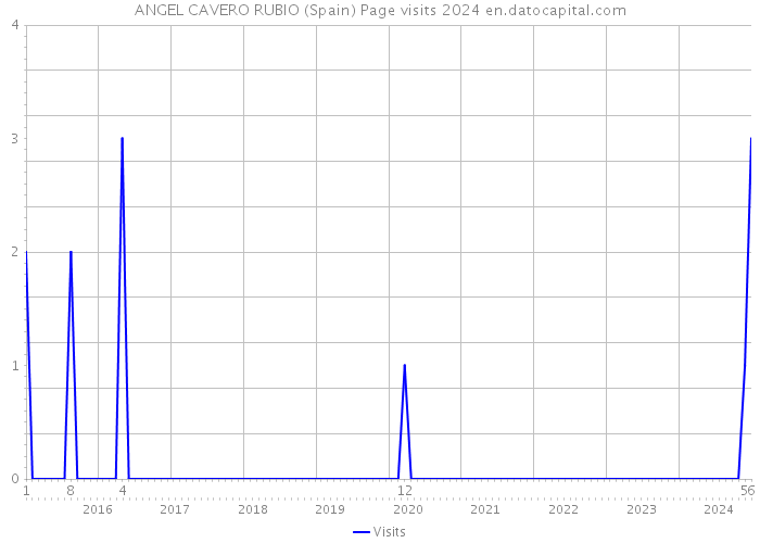 ANGEL CAVERO RUBIO (Spain) Page visits 2024 