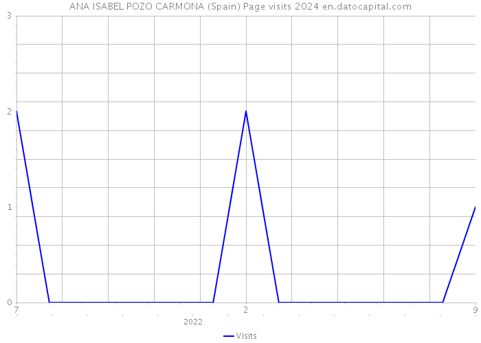 ANA ISABEL POZO CARMONA (Spain) Page visits 2024 