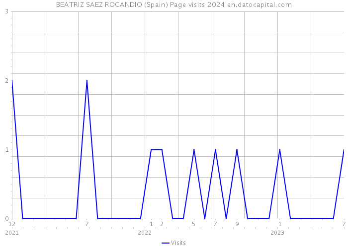 BEATRIZ SAEZ ROCANDIO (Spain) Page visits 2024 