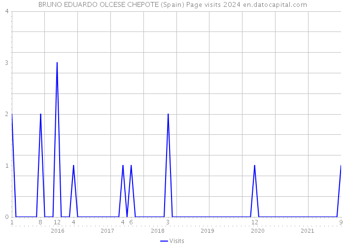 BRUNO EDUARDO OLCESE CHEPOTE (Spain) Page visits 2024 