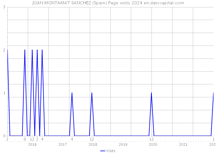 JOAN MONTAMAT SANCHEZ (Spain) Page visits 2024 