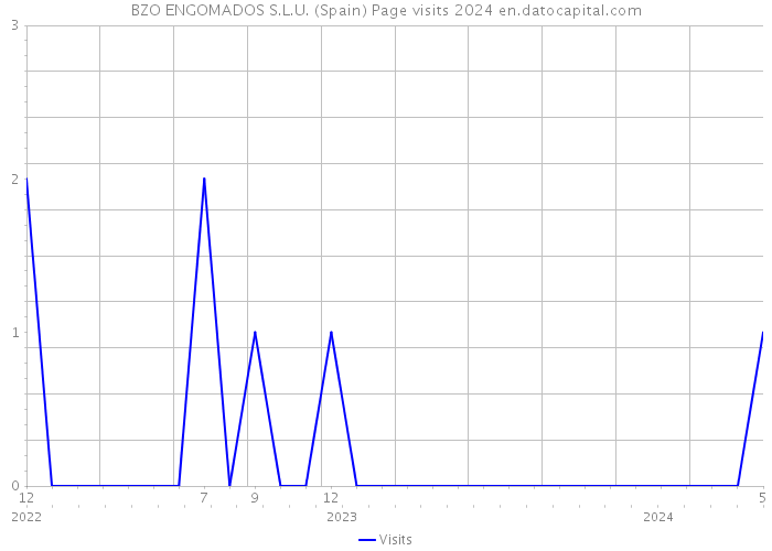 BZO ENGOMADOS S.L.U. (Spain) Page visits 2024 