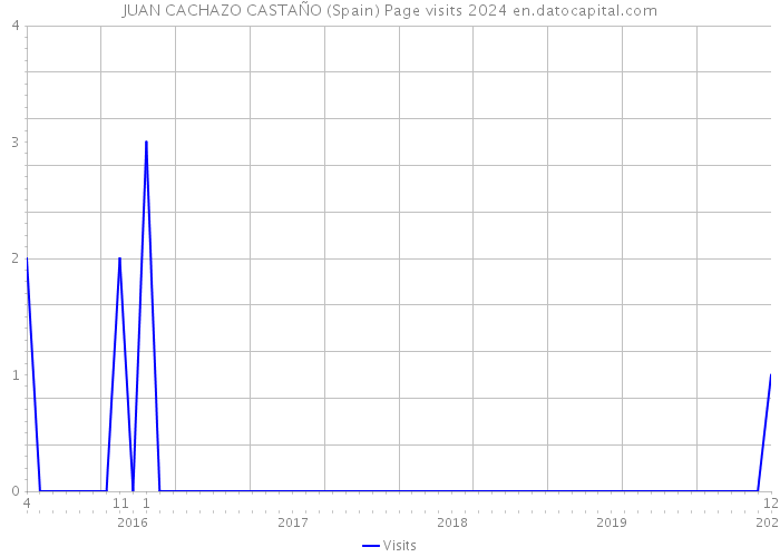JUAN CACHAZO CASTAÑO (Spain) Page visits 2024 