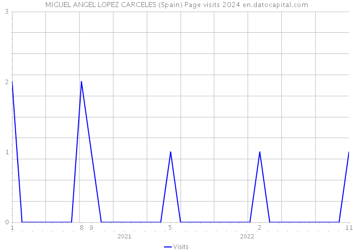MIGUEL ANGEL LOPEZ CARCELES (Spain) Page visits 2024 