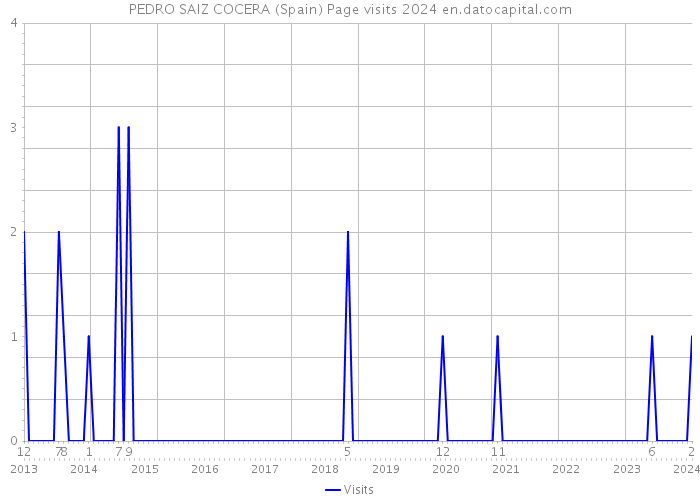 PEDRO SAIZ COCERA (Spain) Page visits 2024 