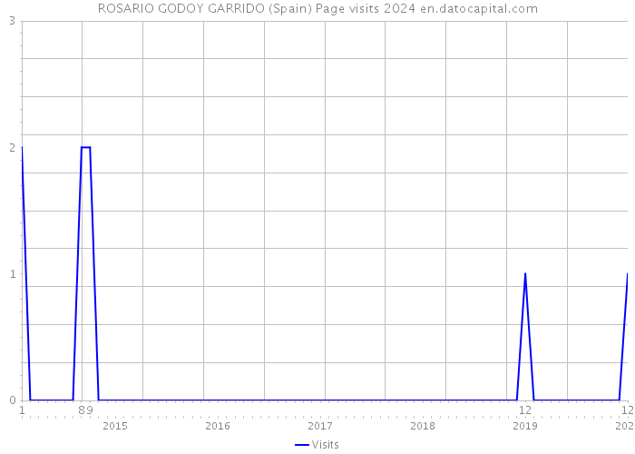 ROSARIO GODOY GARRIDO (Spain) Page visits 2024 