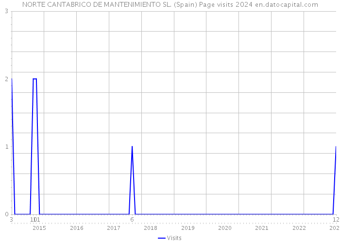 NORTE CANTABRICO DE MANTENIMIENTO SL. (Spain) Page visits 2024 