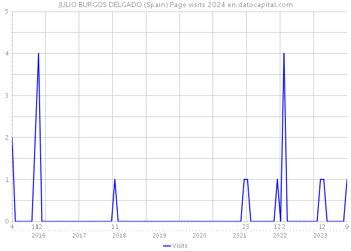 JULIO BURGOS DELGADO (Spain) Page visits 2024 