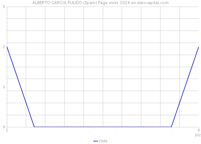 ALBERTO GARCIA PULIDO (Spain) Page visits 2024 