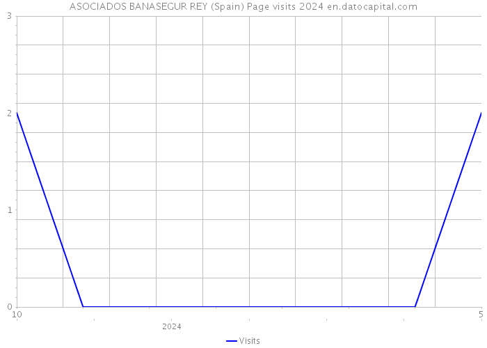 ASOCIADOS BANASEGUR REY (Spain) Page visits 2024 