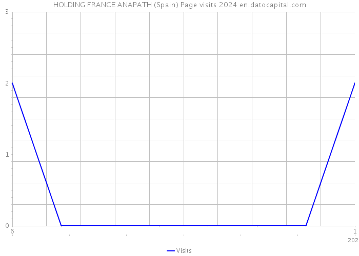 HOLDING FRANCE ANAPATH (Spain) Page visits 2024 