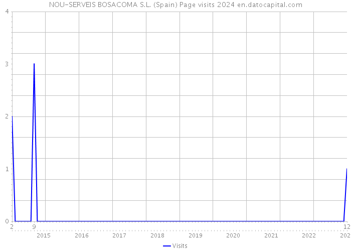 NOU-SERVEIS BOSACOMA S.L. (Spain) Page visits 2024 