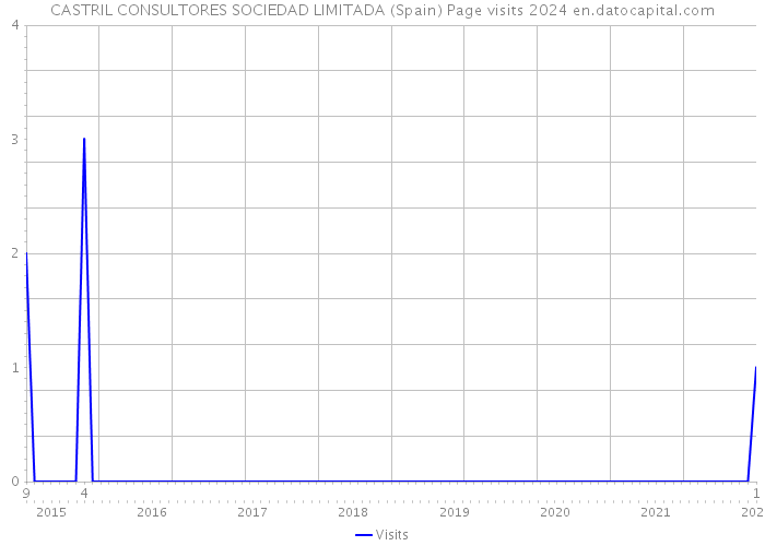 CASTRIL CONSULTORES SOCIEDAD LIMITADA (Spain) Page visits 2024 