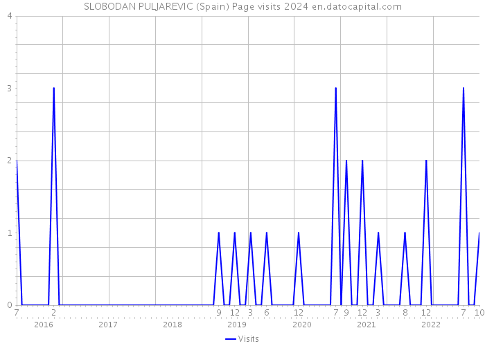 SLOBODAN PULJAREVIC (Spain) Page visits 2024 