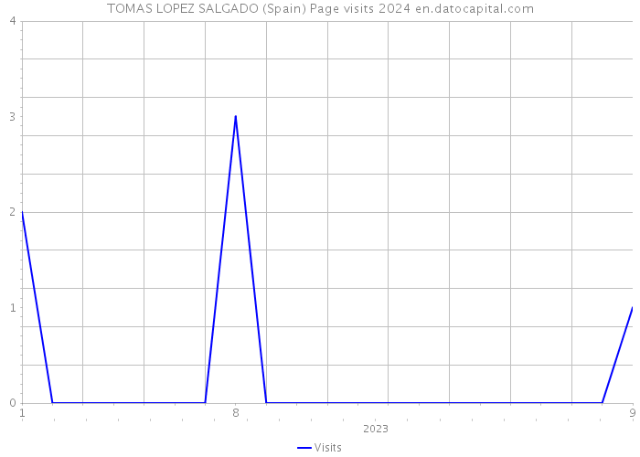 TOMAS LOPEZ SALGADO (Spain) Page visits 2024 