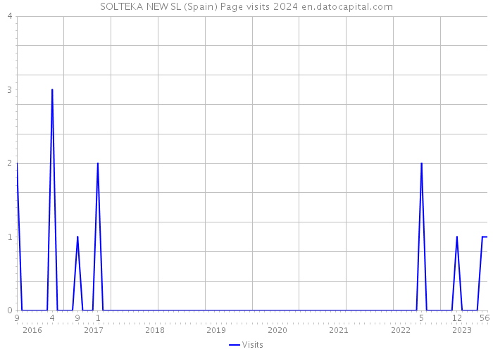 SOLTEKA NEW SL (Spain) Page visits 2024 