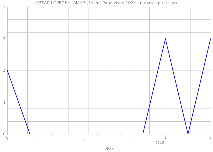 CESAR LOPEZ PALOMAR (Spain) Page visits 2024 