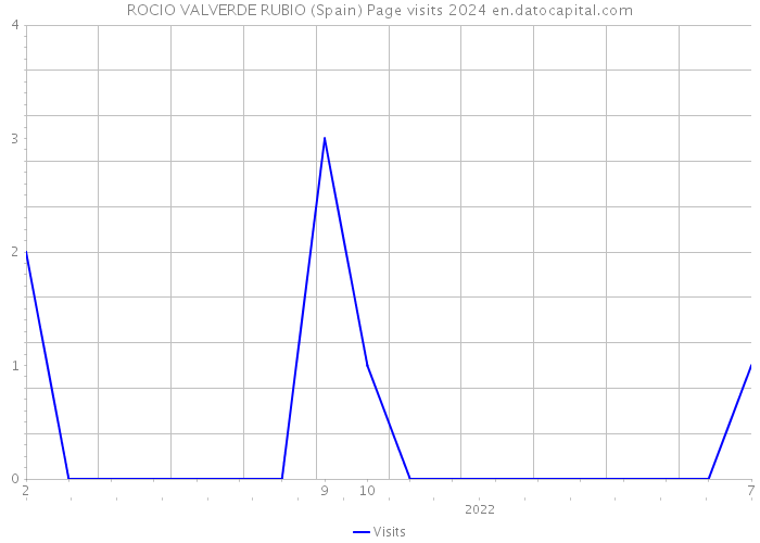 ROCIO VALVERDE RUBIO (Spain) Page visits 2024 