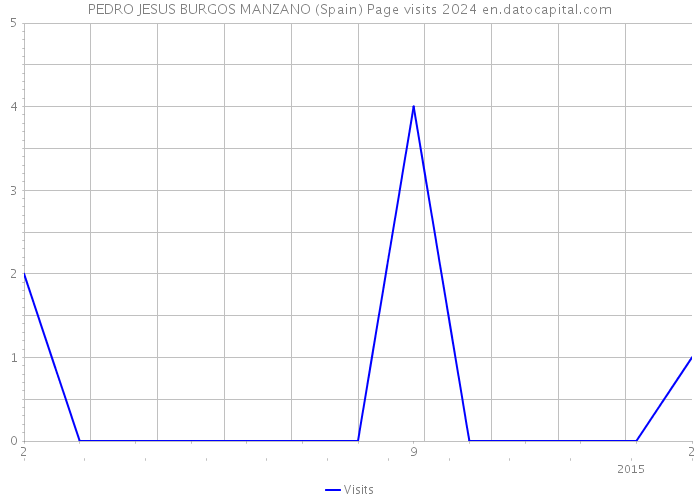 PEDRO JESUS BURGOS MANZANO (Spain) Page visits 2024 