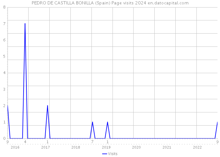 PEDRO DE CASTILLA BONILLA (Spain) Page visits 2024 