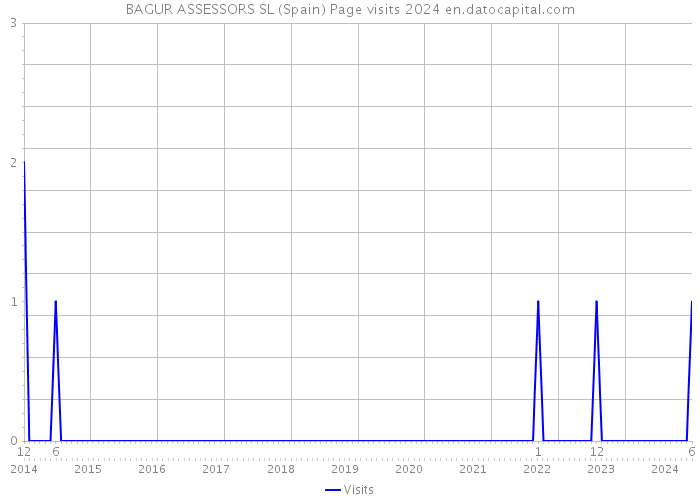 BAGUR ASSESSORS SL (Spain) Page visits 2024 